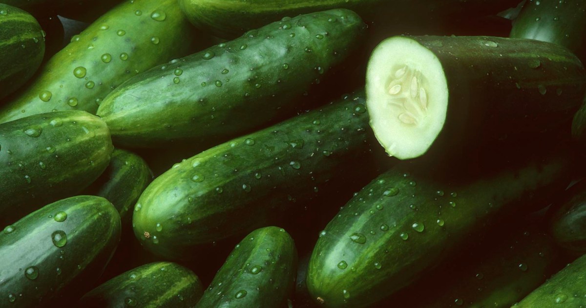 Cucumbers recalled after more than 20 people are sickened in Salmonella outbreak