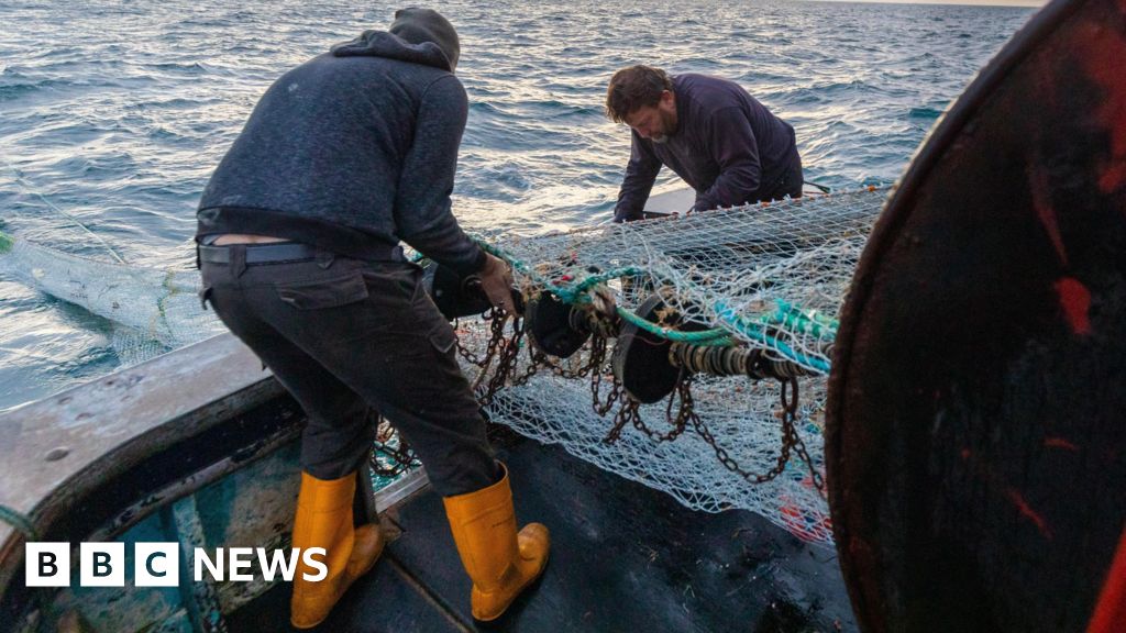 The new UK-EU deal at a glance