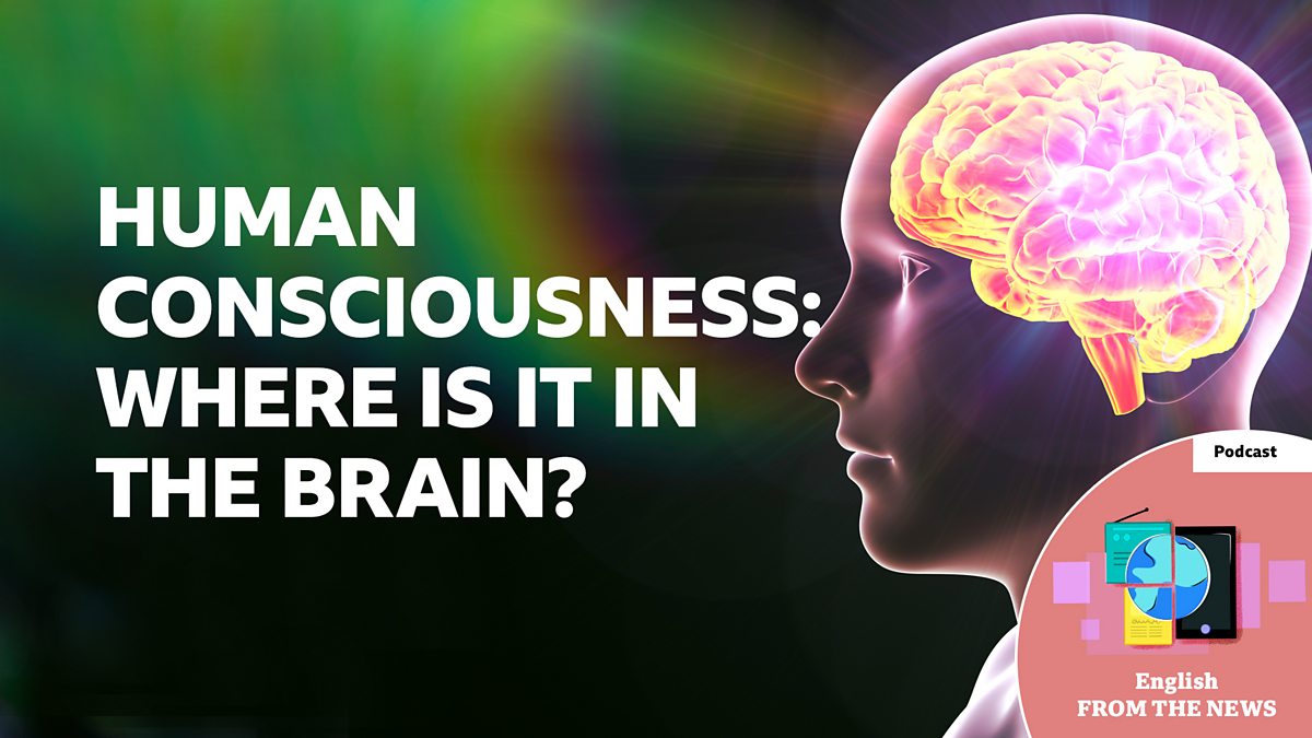 BBC Learning English - Learning English from the News / Human consciousness: Where is it in the brain?