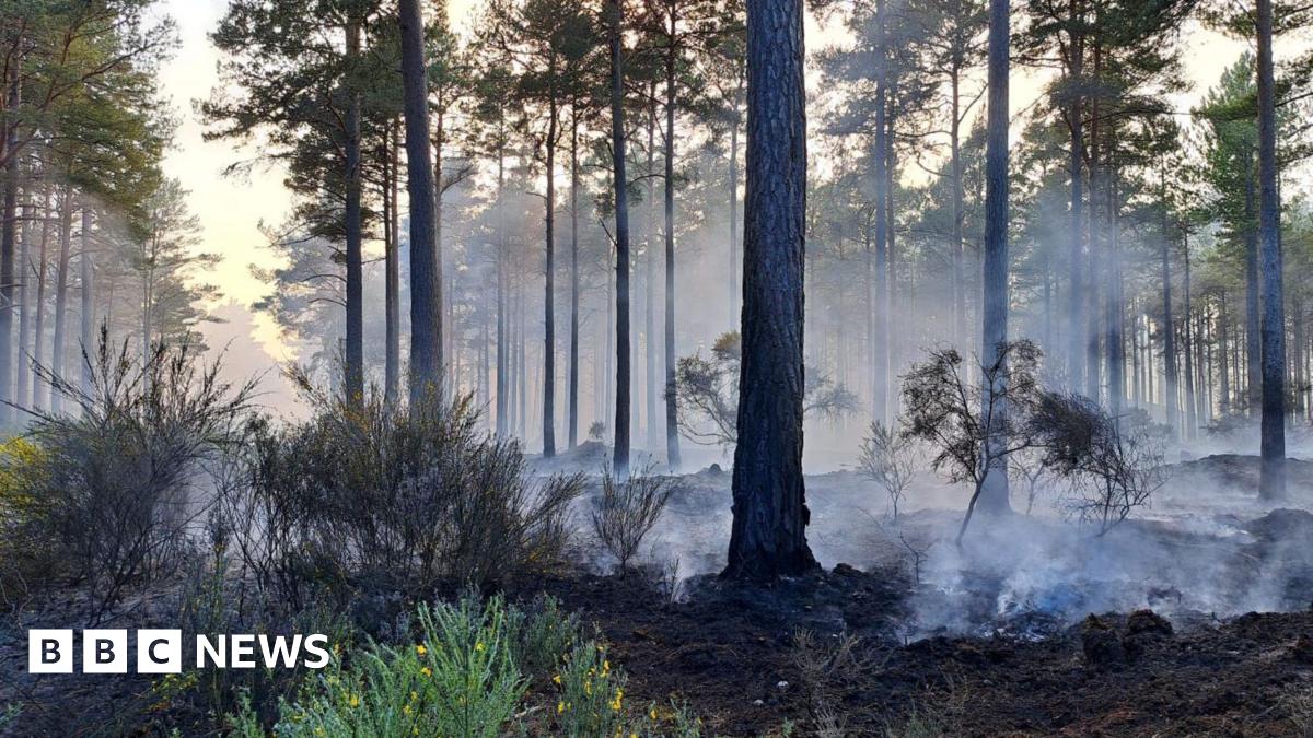 Firefighter photos reveal wildfire damage to Culbin forest