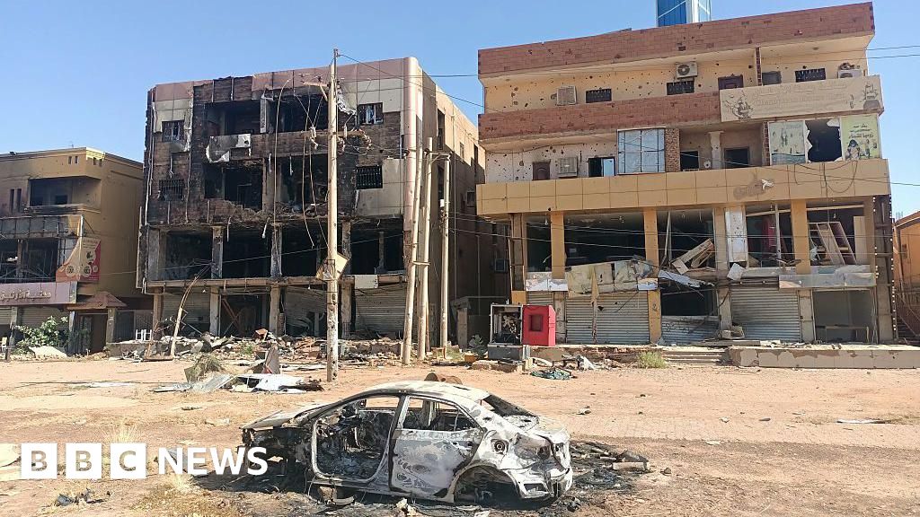 Sudan war: RSF entirely pushed out of Khartoum state, army says